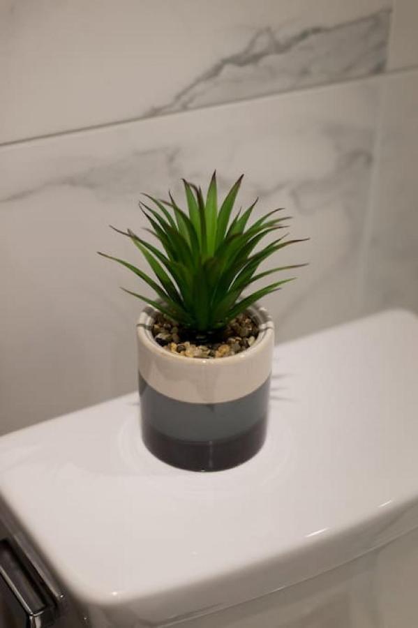 Palms Little Italy Studio With Full Bathroom By Denstays Montréal Eksteriør bilde
